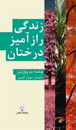 Picture of زندگی رازآمیز درختان