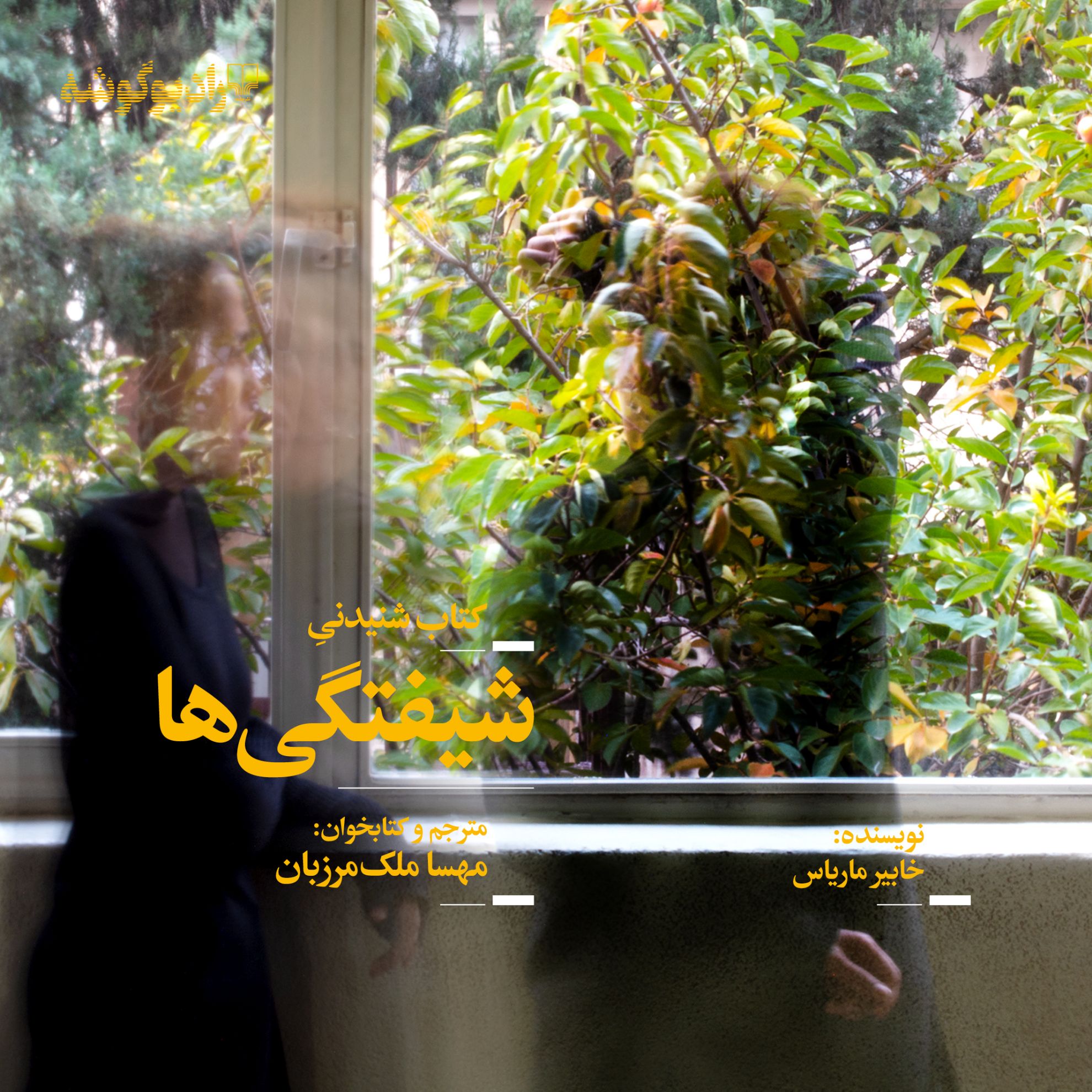 Picture of داستان غیر فارسی، جهان نو (جلد 274): شیفتگی‌ها