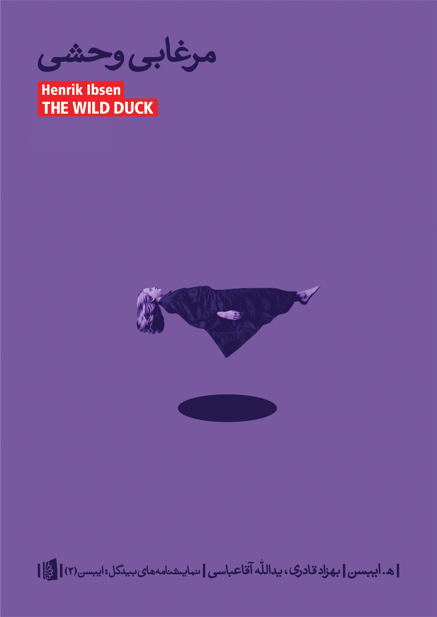 Picture of مرغابی وحشی