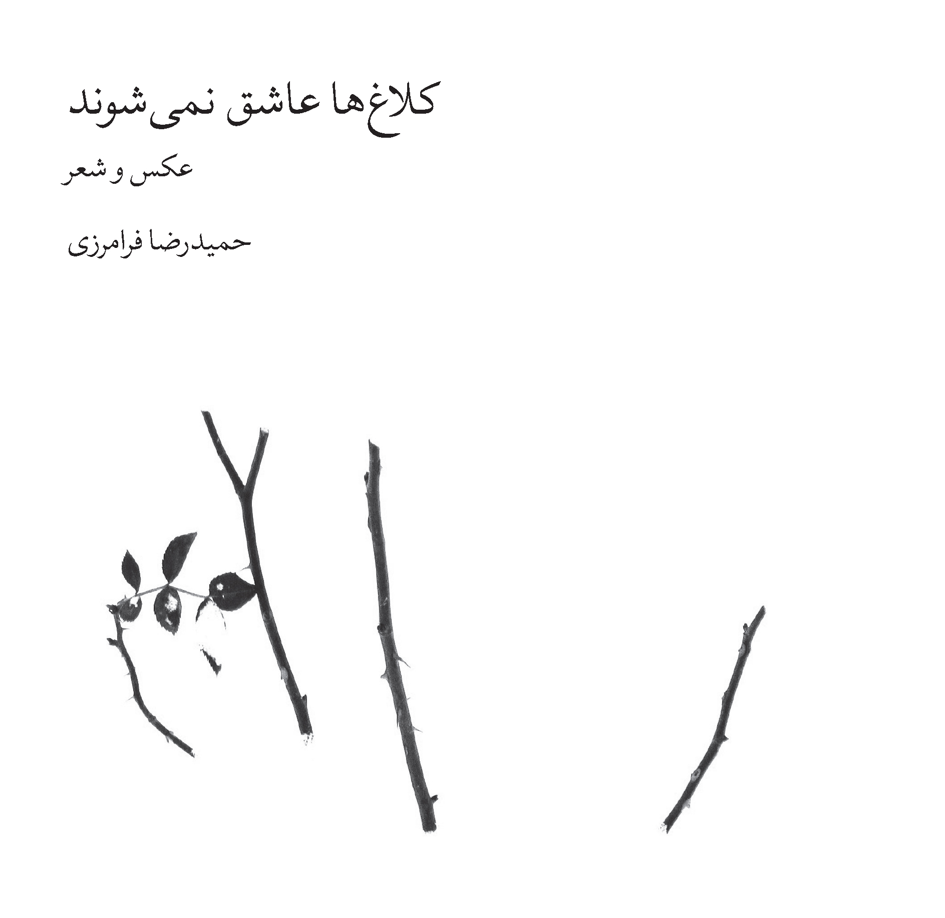 Picture of کلاغ‌ها عاشق نمی‌شوند: عکس و شعر